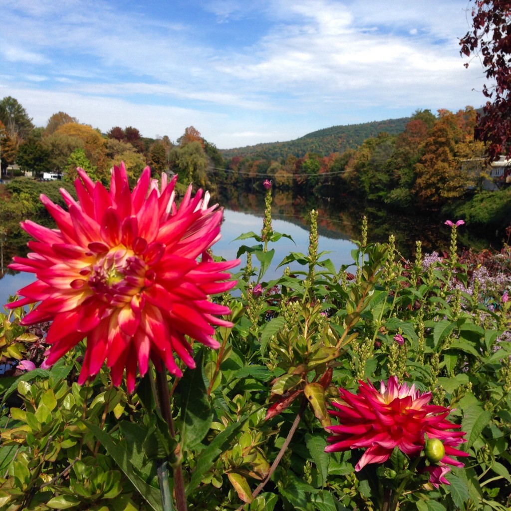 Bridge of Flowers in Shelburne, MA. Autumn glory.