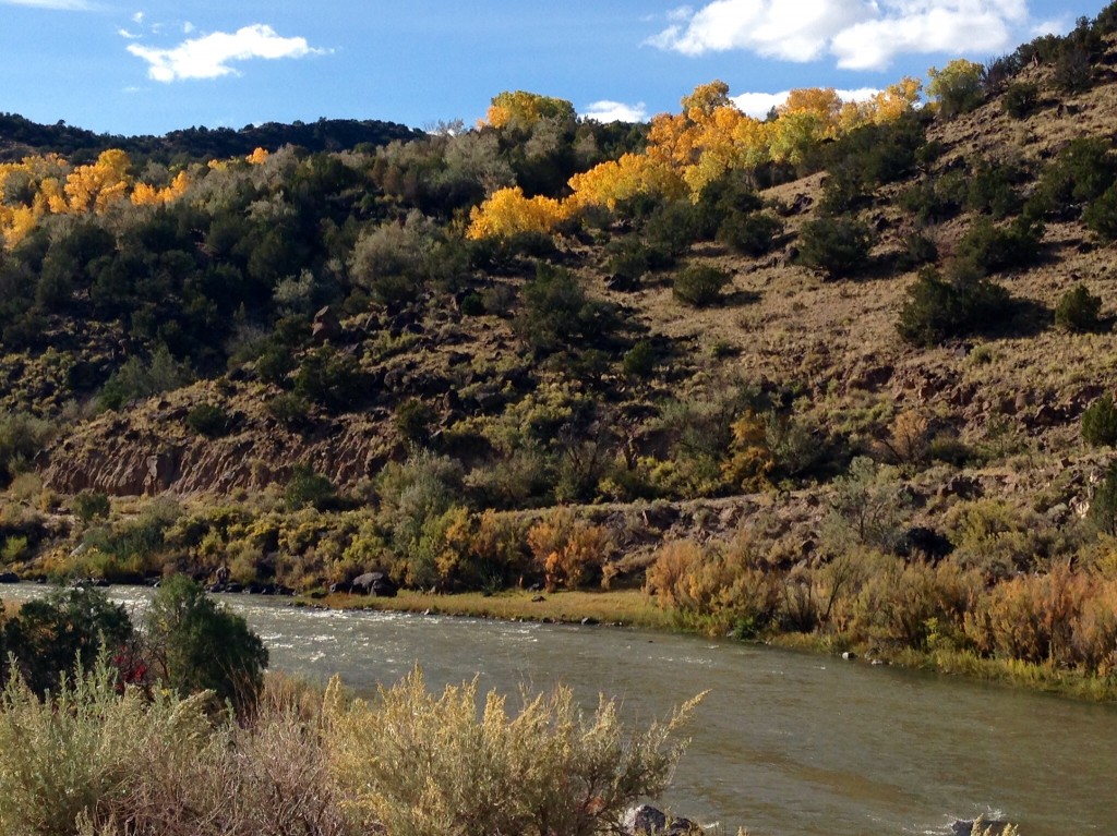 Rio Grande River in New Mexico.