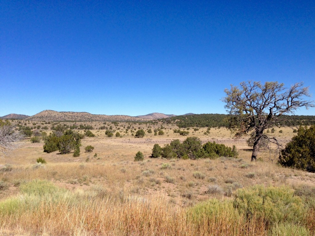 New Mexico scenery.