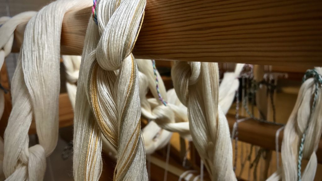 Cotton warp ready for dressing the loom.