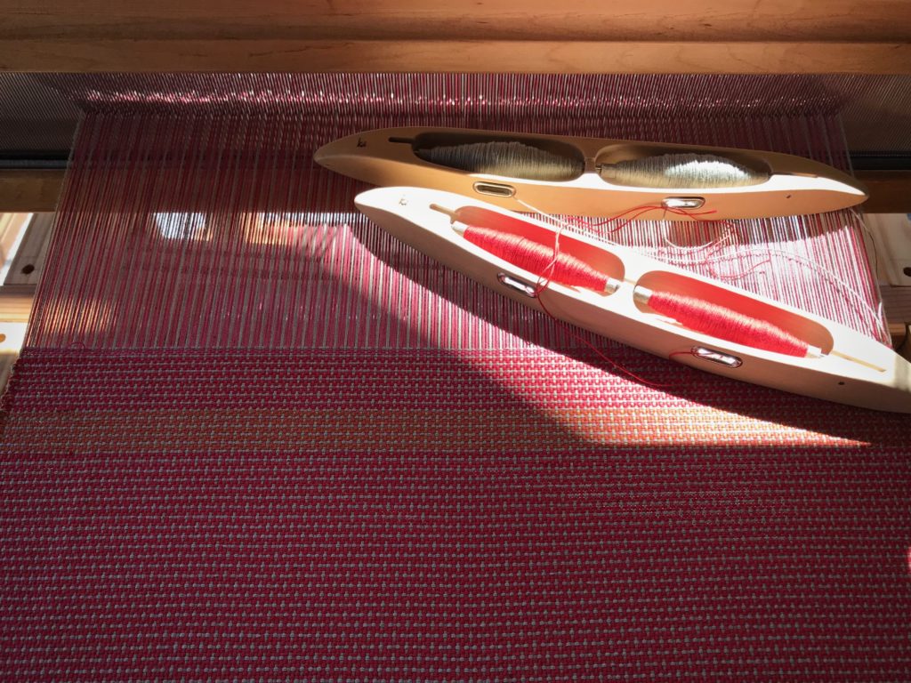 Weaving in the afternoon shadows.