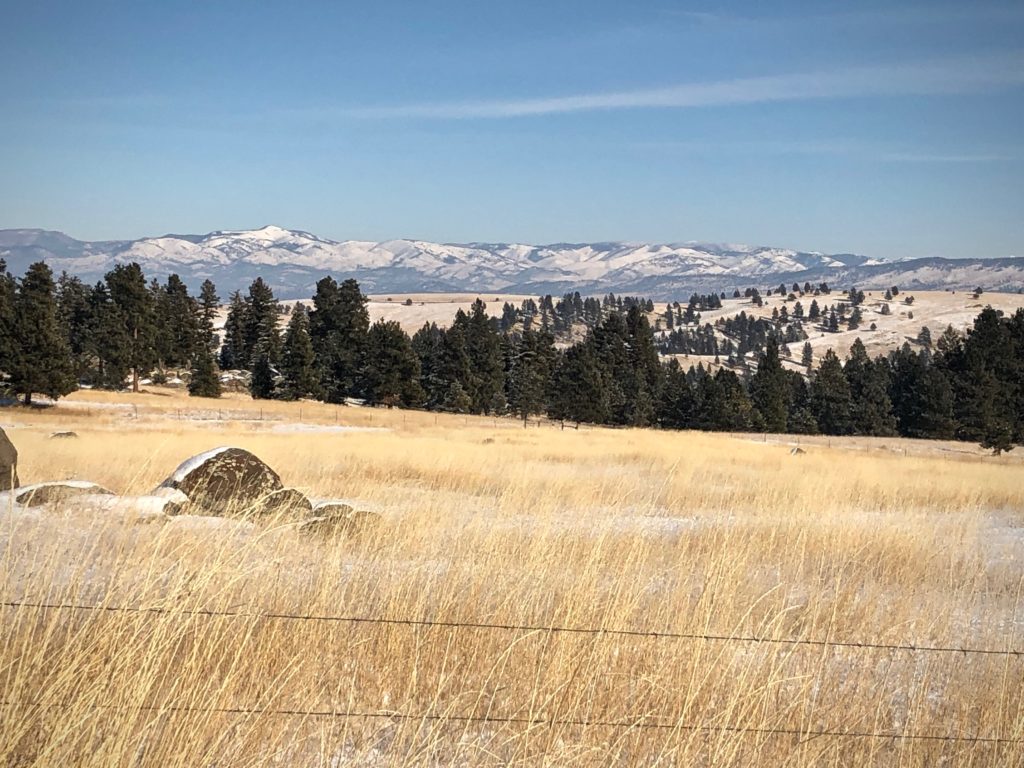 Gorgeous Montana mountains by Joanne's weaving studio.