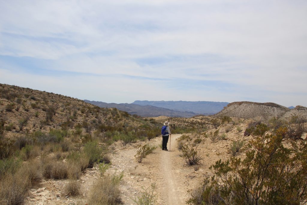 Big Bend Ranch State Park, Texas.