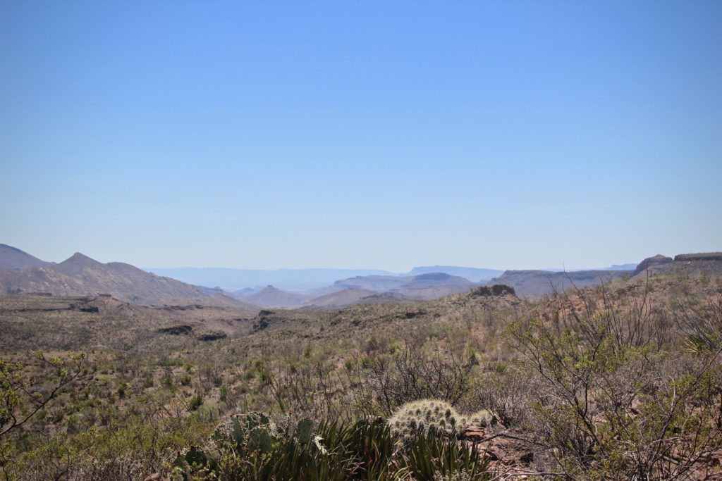 Fresno Canyon in Big Bend State Park, Texas.