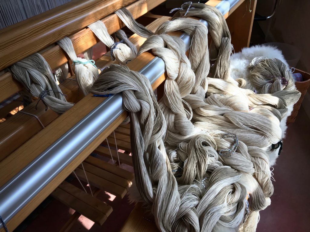 Warp chains of 12/6 cotton rug warp. Drawloom rag rugs!