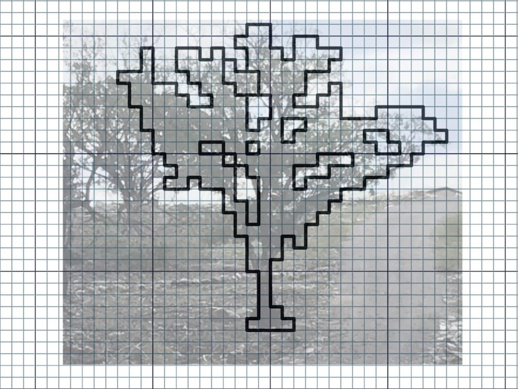 Tracing a tree in Affinity Photo to make a drawloom pattern.